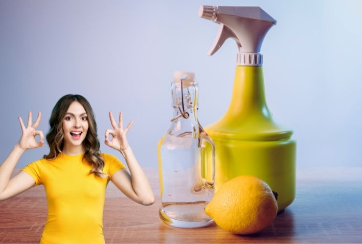 limone, aceto ed uno spruzzino. ed una ragazza che fa ok