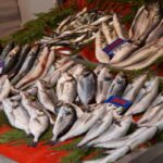 pesce in vendita