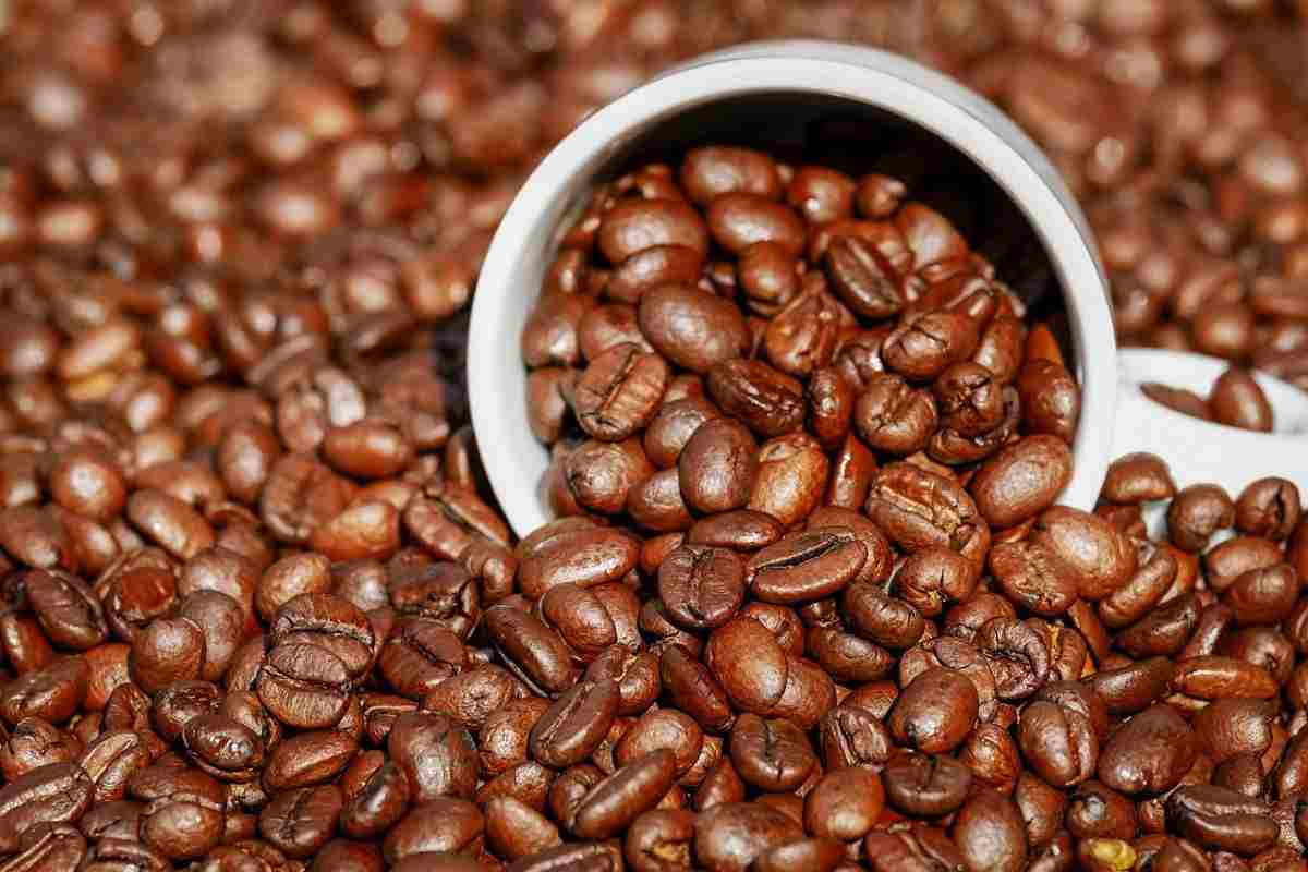 caffè chicchi